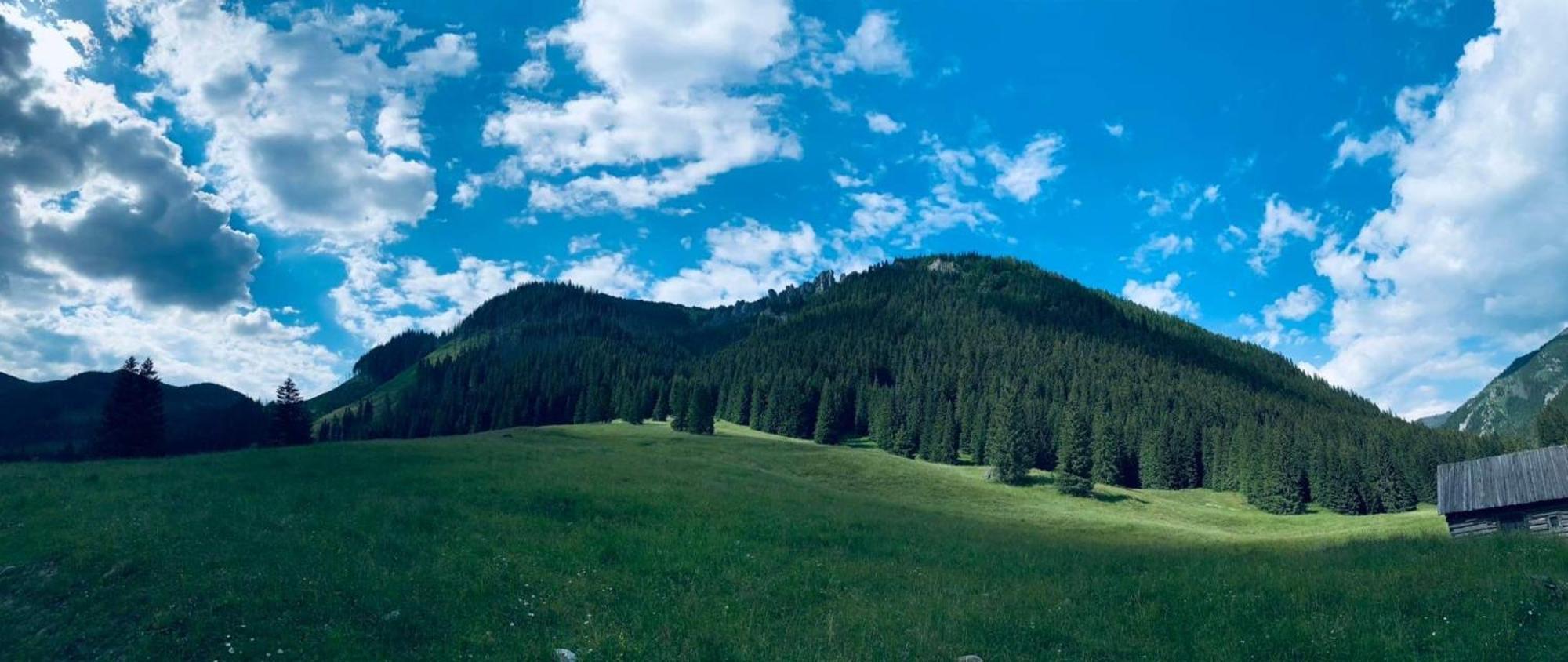 Goralska Chatka Kościelisko Dış mekan fotoğraf