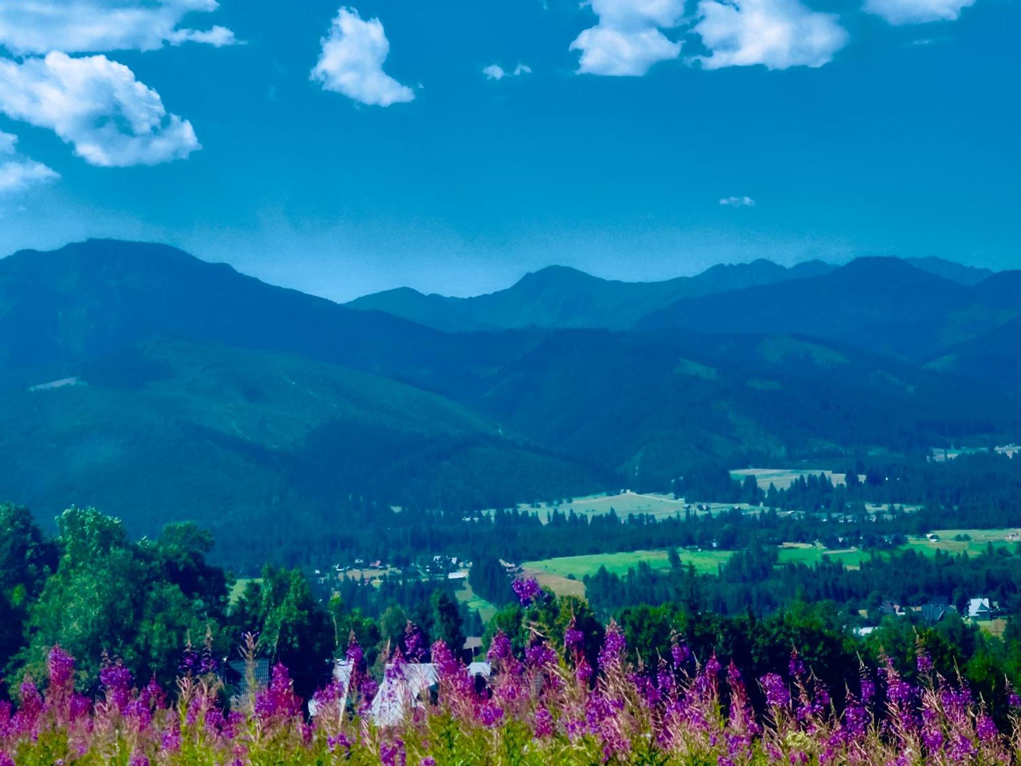 Goralska Chatka Kościelisko Dış mekan fotoğraf